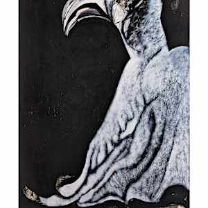 BLIND BIRD by Steven Oshatz