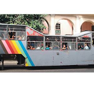 CAMEL BUS by Steven Oshatz