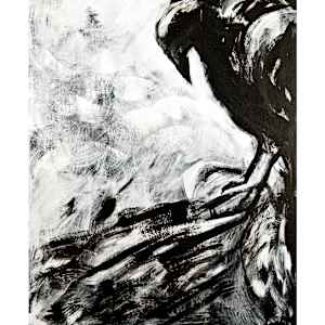 CROW LOOKING DOWN by Steven Oshatz