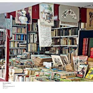 MADRID BOOKSTAND #2 by Steven Oshatz