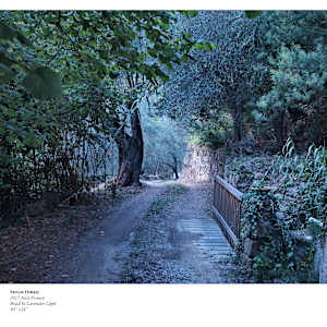 ROAD IN LAVENDER LIGHT by Steven Oshatz