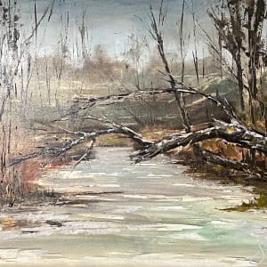 Winter Haze Along The Spring Lake Trail by Scott Nost