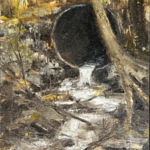 Spring Runoff At Powder Mills' Mushroom House by Scott Nost, Image 12.