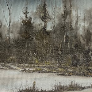 Flurries  At The Bluebird Haven by Scott Nost