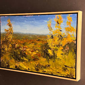 Autumn View From Pinnacle Hill by Scott Nost 