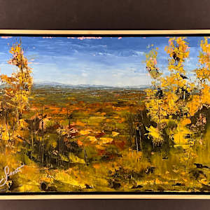 Autumn View From Pinnacle Hill by Scott Nost 