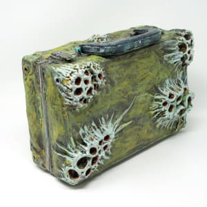 Cayo Coco Case by ocasiocasa 