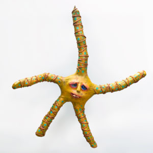 Cayo the Starfish by ocasiocasa 