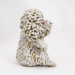Daisy the Poodle by ocasiocasa 