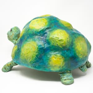 Jen the Turtle by ocasiocasa 