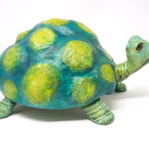 Jen the Turtle by ocasiocasa 