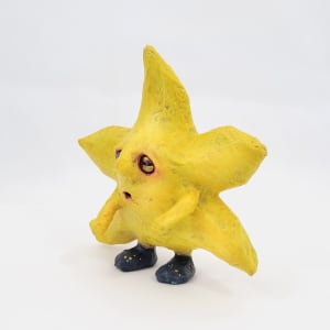 Steller the Star by ocasiocasa 