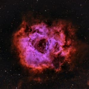 The Full Rosette Exclusive Print by Jeremy Likness