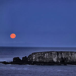 Snow Moon and Dauntless Series on Metal (3 x 16" x 20") by Jeremy Likness