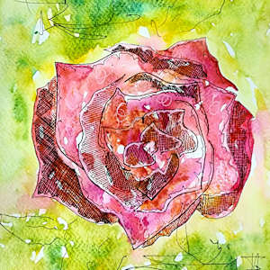 Rose 4 by Elizabeth Ann Huffman, Image 1.