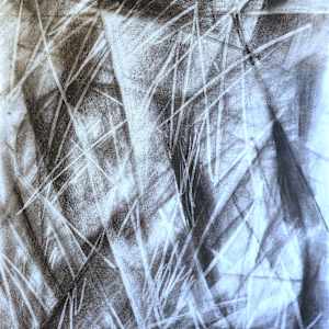 Unruly3 by Elizabeth Ann Huffman