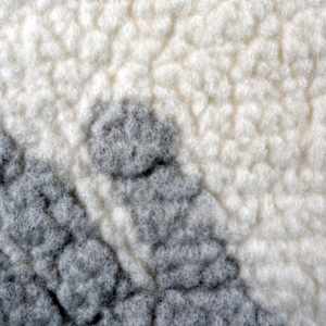 Reach by Jennifer Angelo  Image: Close up