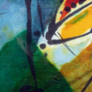 Venus fly trap by Jennifer Angelo  Image: Close up view