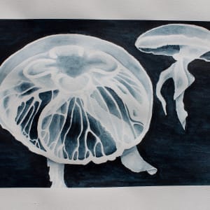 Aurelia Aurita, Moon Jelly by Grace Guirola