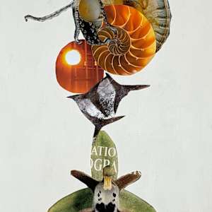 Scientific Enquiry 3 by Gayle Gerson, Image 1.