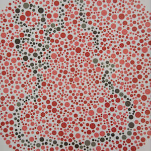 Seeing by Thomas Hill