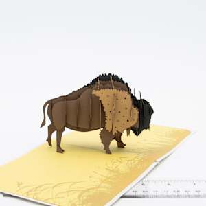 CUTPOPUP Bison Card 