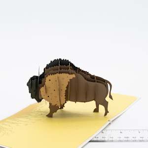 CUTPOPUP Bison Card 