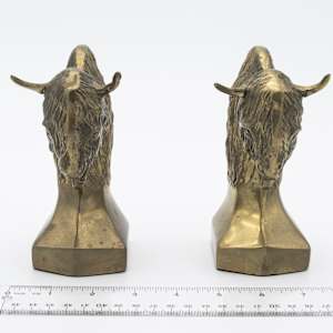 Bookend Bison 2 
