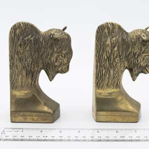 Bookend Bison 2 