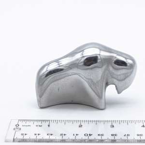 Hosleton Bison 
