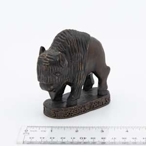 St Joseph's Indian School Bison 