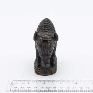 St Joseph's Indian School Bison 