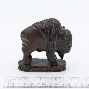 St Joseph's Indian School Bison 