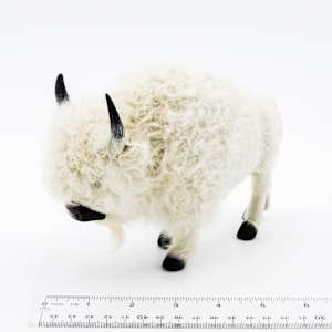 Native American Fur Bison 1 