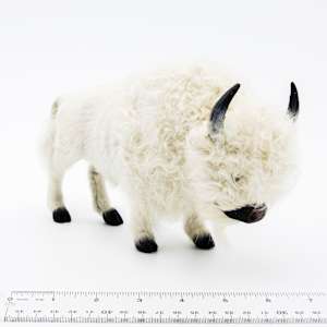 Native American Fur Bison 1 