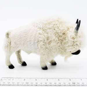 Native American Fur Bison 1 