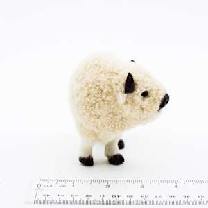 Native American Fur Bison 2 