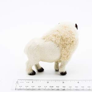 Native American Fur Bison 2 