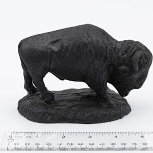 North Dakota Lignite Coal Bison 