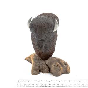 Bison Bust 