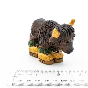 Silly Bison 