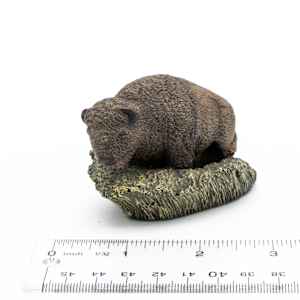 Bison in Grass 