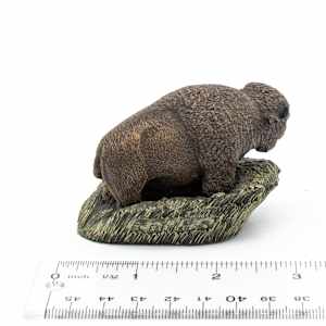 Bison in Grass 