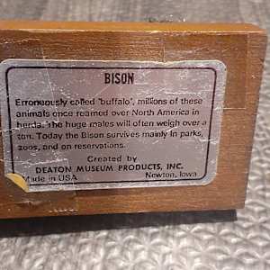 Deaton Museum Products Bison Herd Group, Image 4.