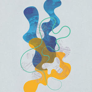 Evros 1 by Michelle Atkinson  Image: Flat lighting (No direct light)