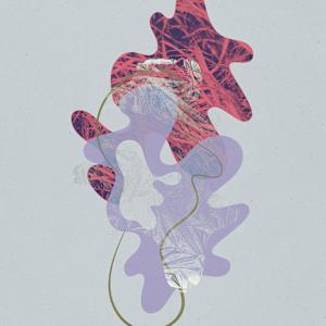 Hollywood 1 by Michelle Atkinson  Image: Spotlight (Direct Sunlight)