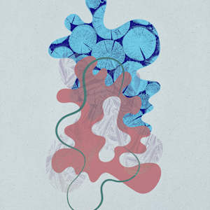 Kelowna 1 by Michelle Atkinson  Image: Flat lighting (No direct light)