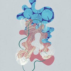 Kelowna 1 by Michelle Atkinson  Image: Spotlight (Direct Sunlight)