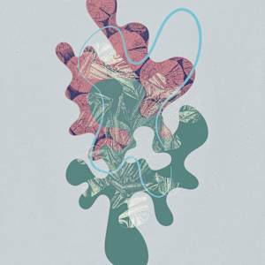 Kelowna 2 by Michelle Atkinson  Image: Spotlight (Direct Sunlight)