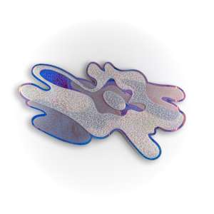 Lobe by Michelle Atkinson 